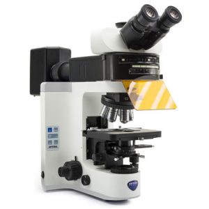 Microscopio B-1000 series