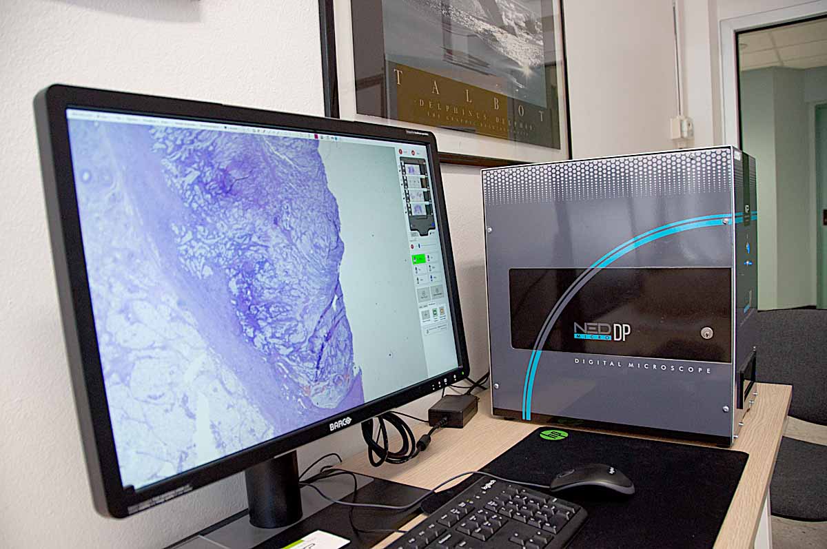 Microscopio patologia digitale SIntak Niguarda
