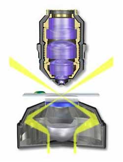 osservazioni microscopia ottica Sintak