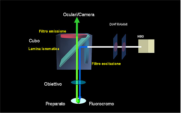 set di filtri detto cubo