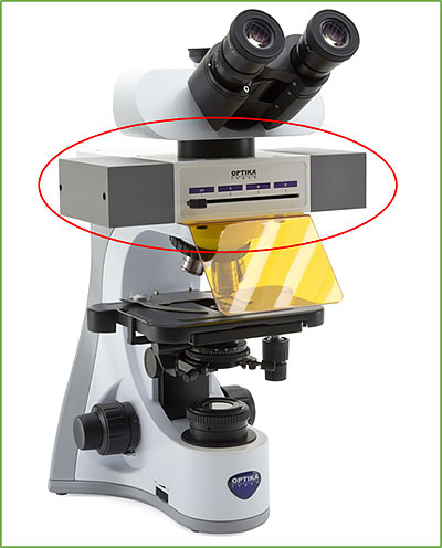 microscopio sistema di illuminazione 2