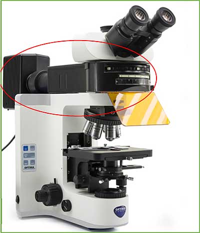 microscopio sistema di illuminazione