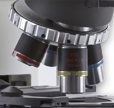 osservazioni microscopia ottica: luce polarizzata
