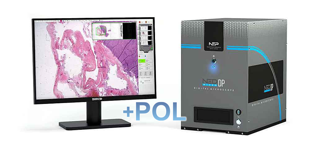 NTP NED-DP con luce polarizzata