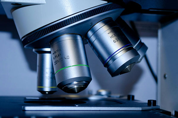 obiettivi microscopia ottica Sintak
