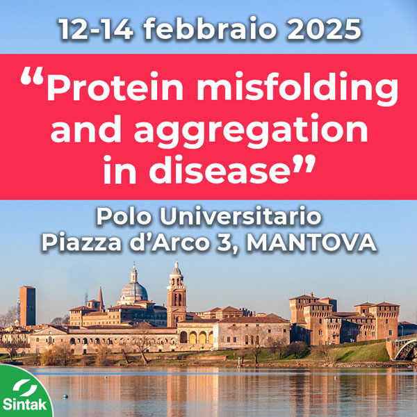 Sintak evento conferenza congresso Mantova