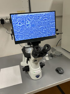 Sintak installazione microscopi Università Calabria dr.ssa De Bartolo