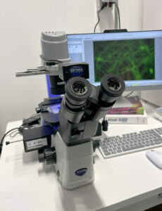 Sintak installazione microscopi Università Calabria dr Fiorillo