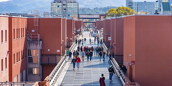 Sintak installazione Università Calabria