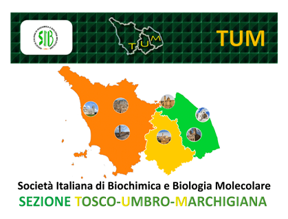 Eventi Sintak - Firenze Giugno 2025